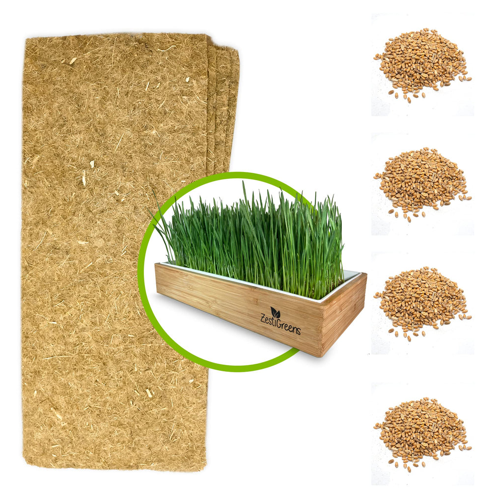 Self-Watering Cat Grass Kit and Refills, 4 Mats and 4 Seed Packets A669718