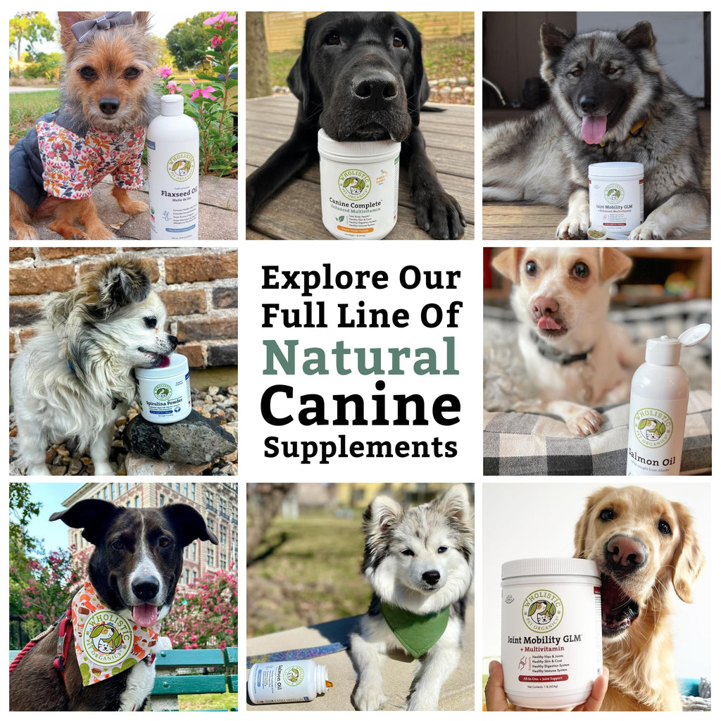 Organic Dog Vitamins, 1 Lb, 45 Scoops G984