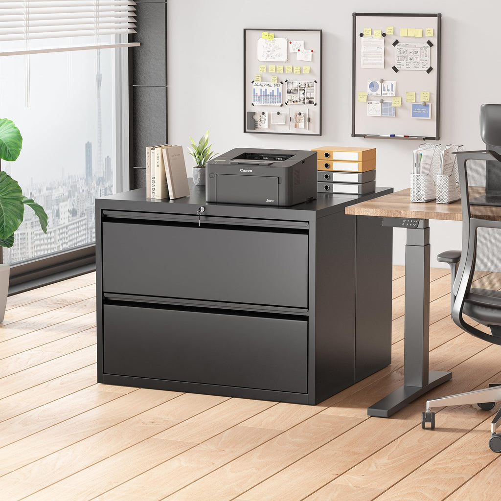 Black 2 Drawer Metal File Cabinet with Lock Z71191